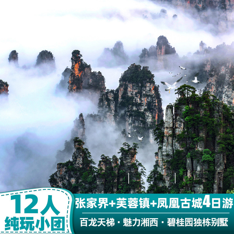 【12人纯玩小团】张家界凤凰旅游4天五星别墅江景房天门山跟团游 - 定制游预订