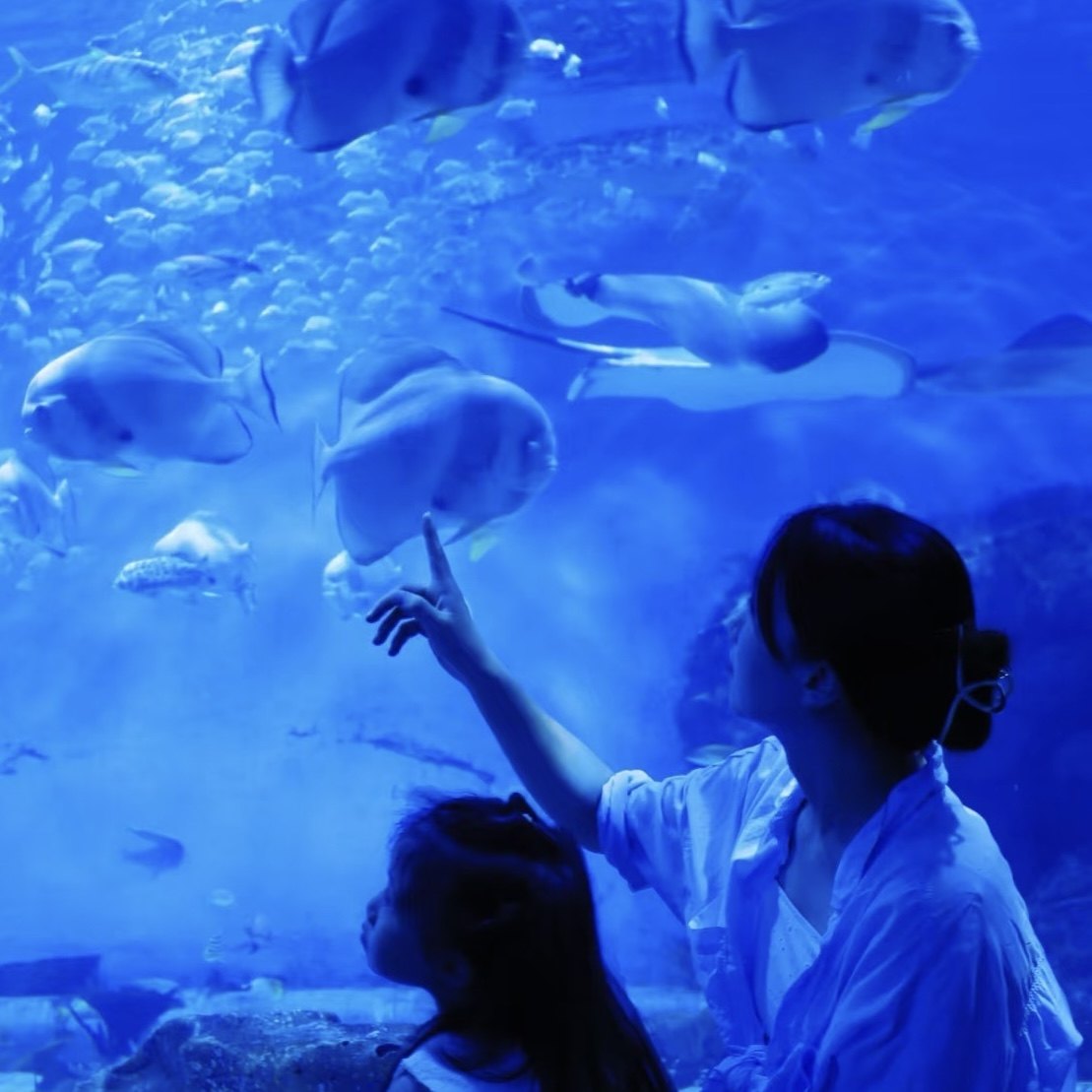 天津极地海洋公园酒店国际大马戏极地海洋公园门票两天无限次入园