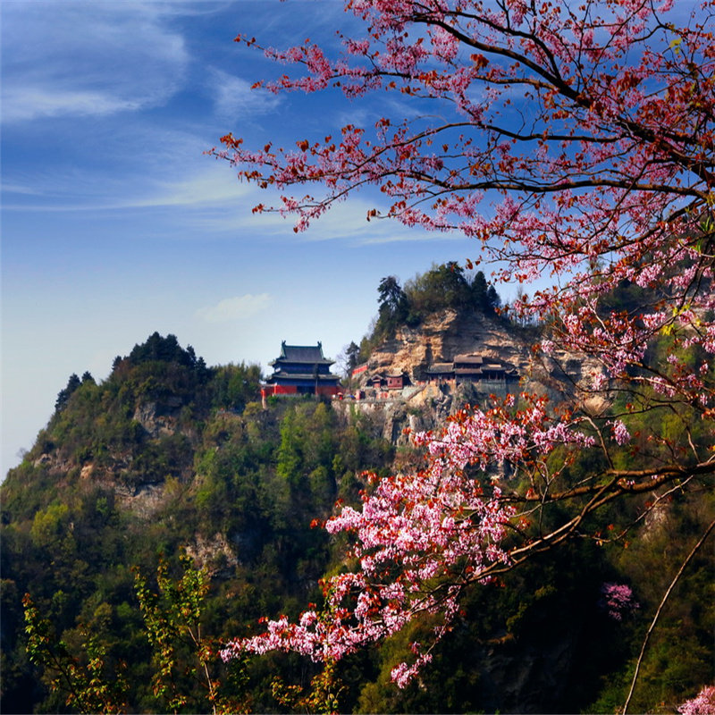 16人小团武汉湖北博物馆黄鹤楼武汉大学武当山金顶4天3晚纯玩旅游 - 定制游预订