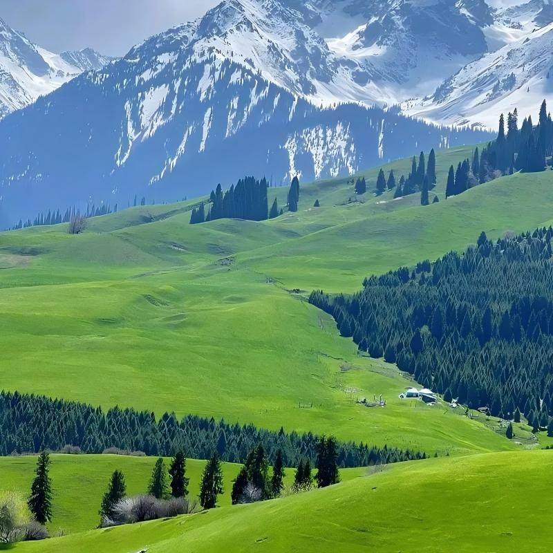 齐齐哈尔美希酒店住宿+扎龙生态圈成人门票