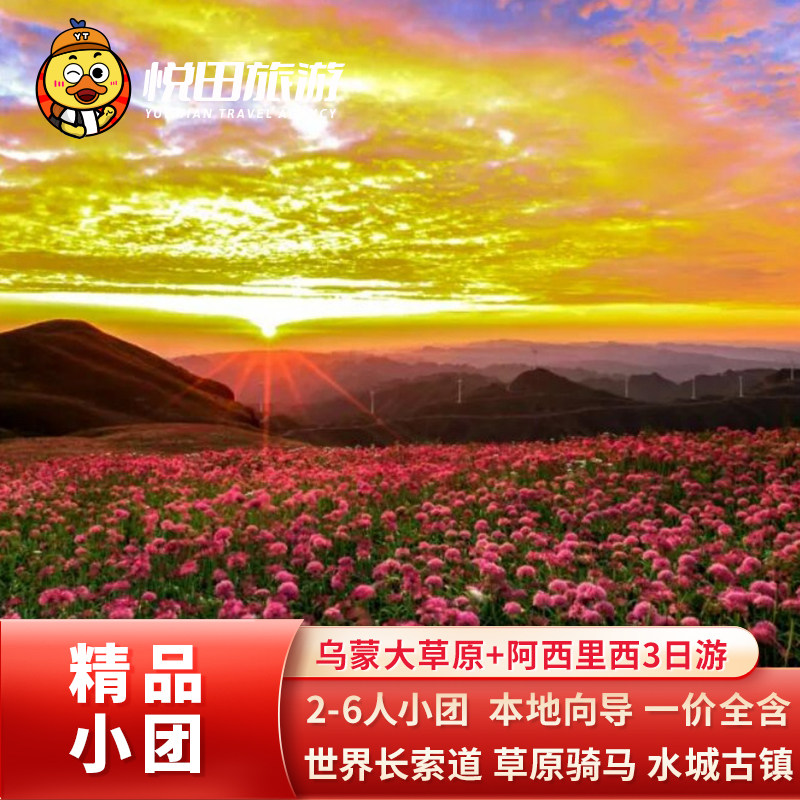 贵州旅游六盘水乌蒙大草原毕节阿西里西韭菜坪梅花山3日游2-6人团 - 定制游预订