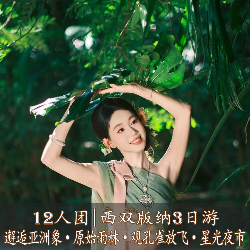 【12人团·篝火3选1】云南旅游西双版纳3天2晚跟团游异域雨林探秘 - 定制游预订