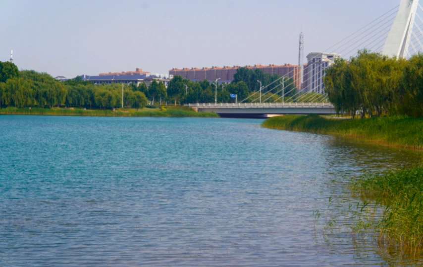 河南牧业经济学院(龙子湖校区)图片