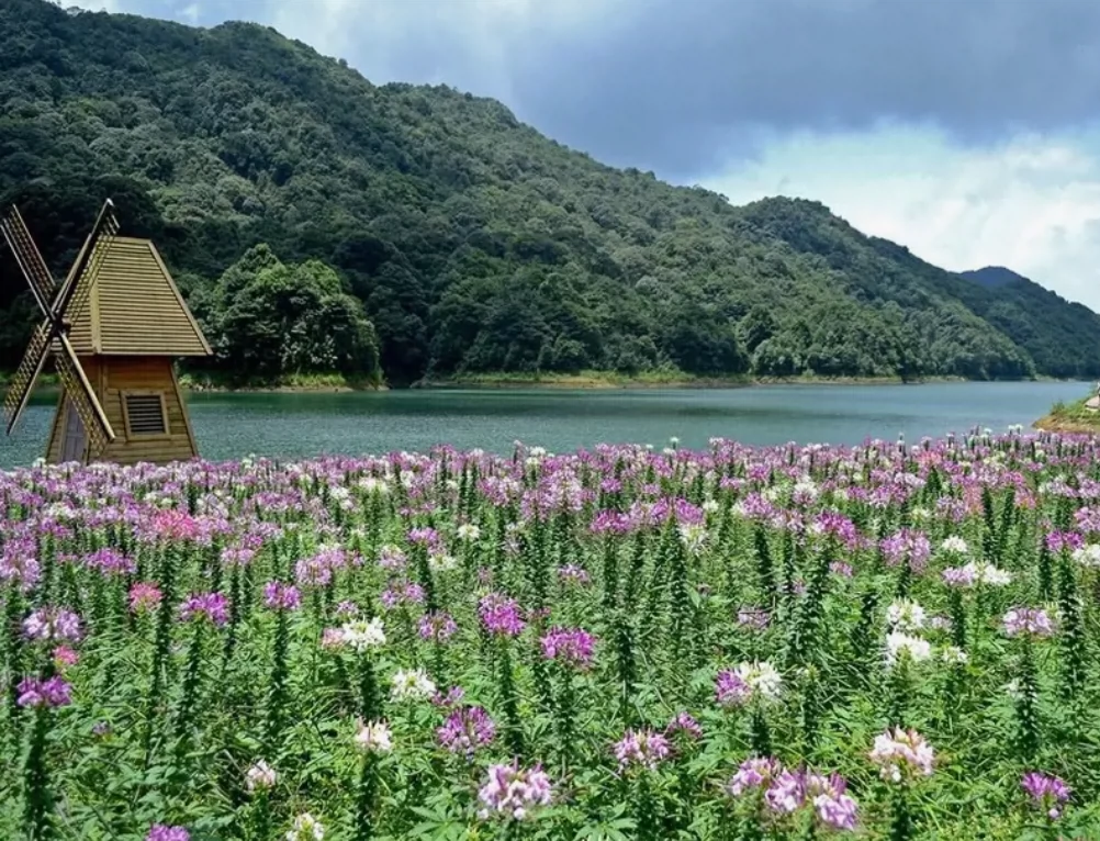 上江百花园图片