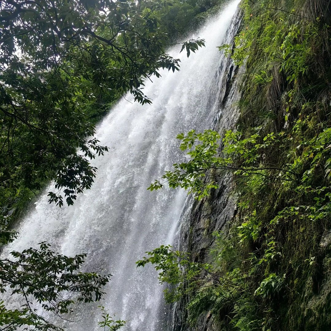 天堂寨天堂栖悦酒店住宿+天堂寨成人门票
