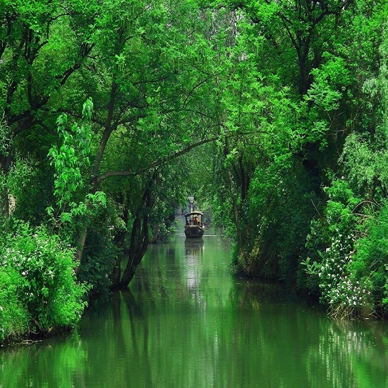 杭州出发南京散团【无购物】杭州+上海+苏州+南京6天5晚跟团游 - 定制游预订