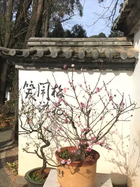 梅园图片