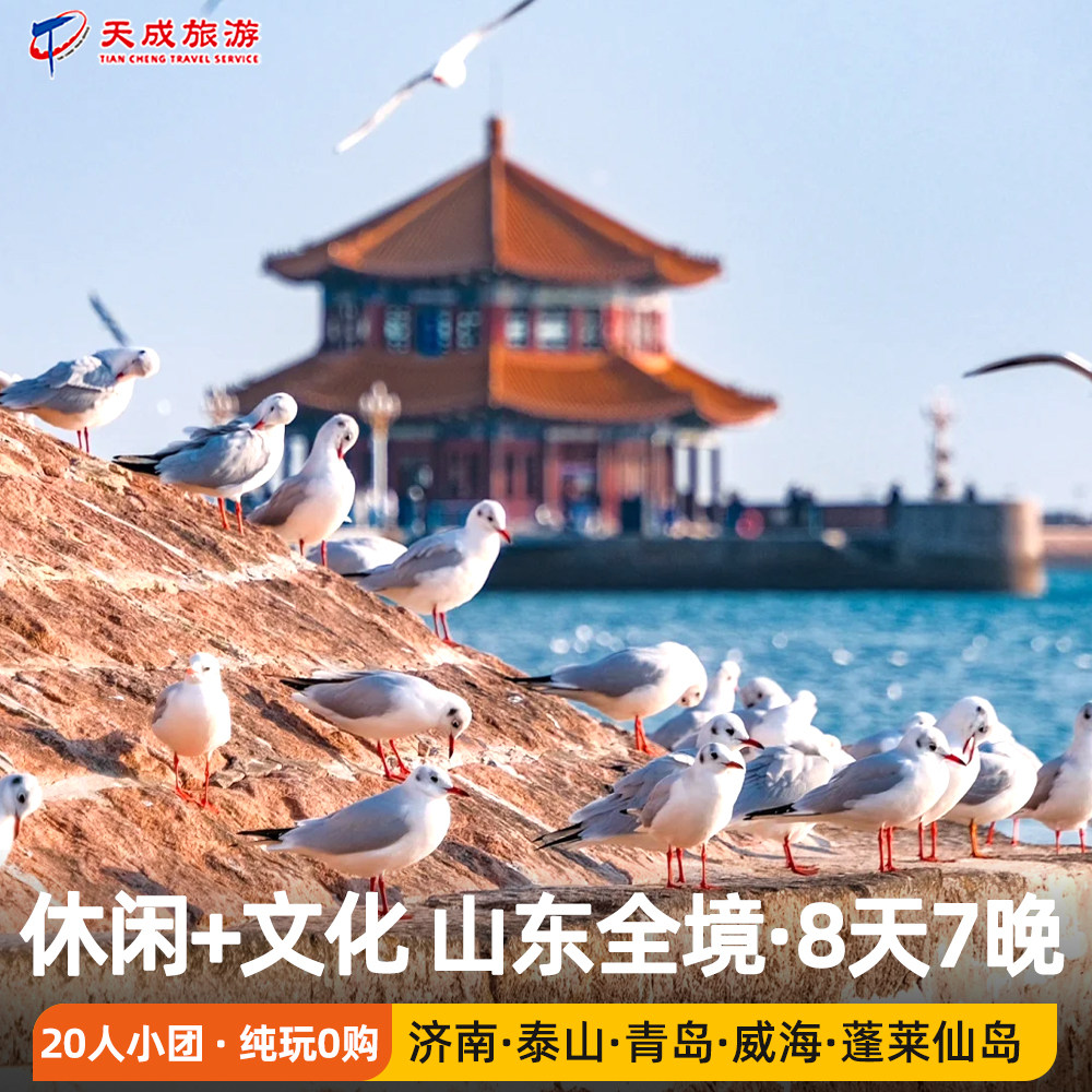 15人团|山东全景旅游|济南泰山曲阜青岛威海烟台蓬莱8天7晚跟团游 - 定制游预订
