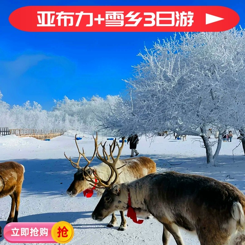 亚布力雪乡3日+滑雪3小时+萌宠鹿园+冰雪欢乐谷+冰雪十里画廊 - 定制游预订