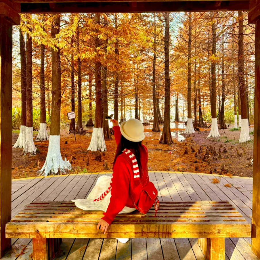 镇江精品旅游4天3晚跟团游 江苏镇江 含往返交通 住皇冠假日酒店 - 定制游预订