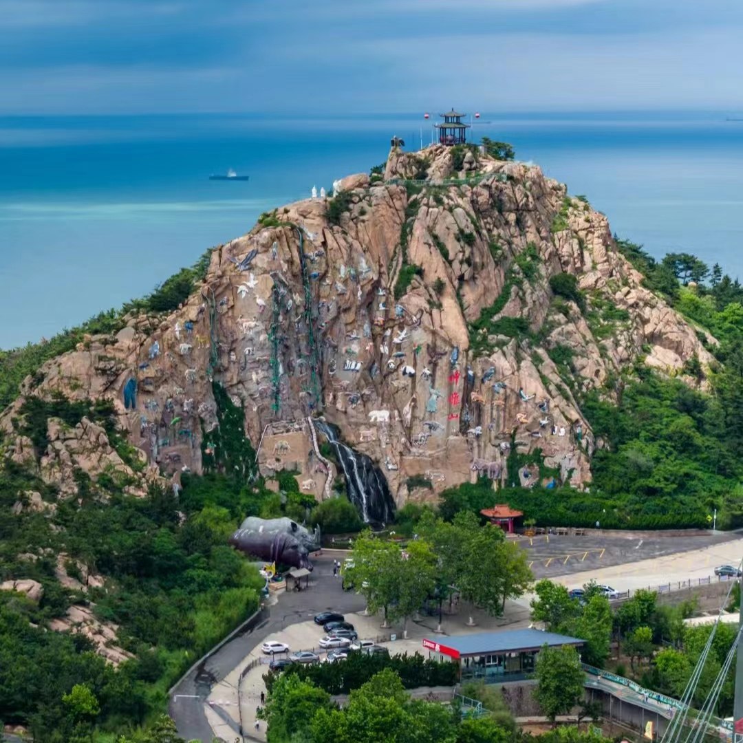 【烟威周边游】烟台出发-威海西霞口神雕山野生动物园一日游 - 定制游预订