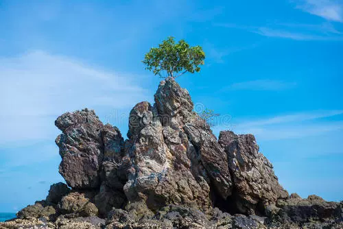 大石山图片