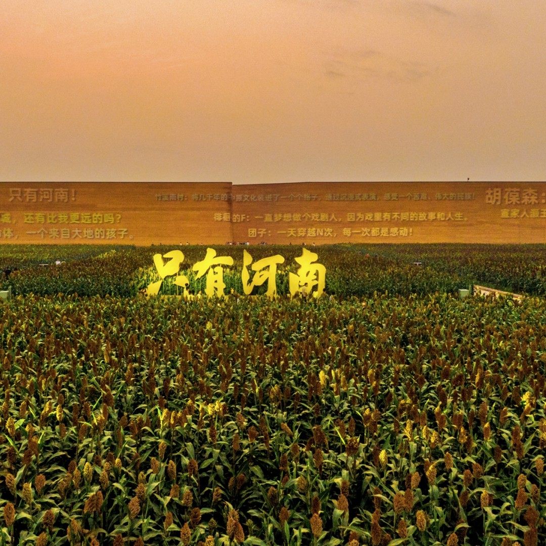 【金秋特惠】郑州只有河南戏剧幻城2日多次门票+可选大剧+早餐