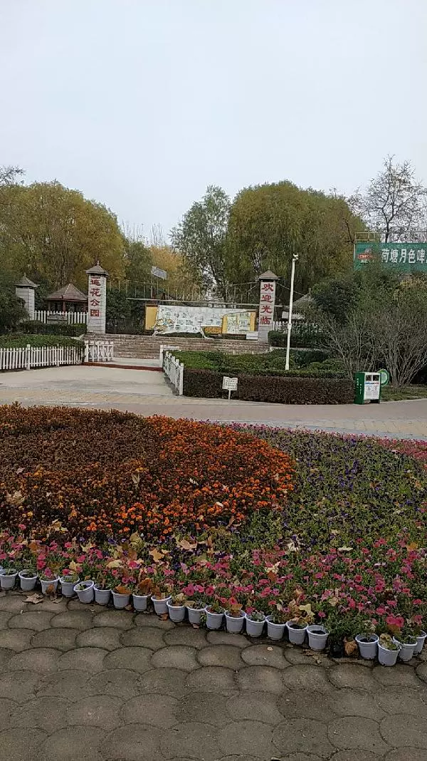 莲花公园图片