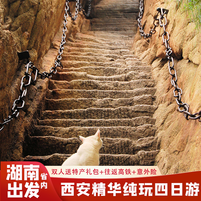 【限时送演出】湖南省到西安旅游兵马俑华清宫华山不夜城四日游 - 定制游预订