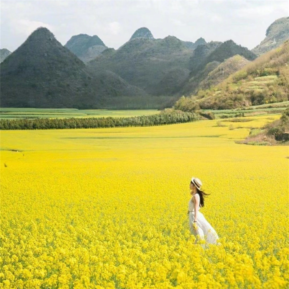 【昆明往返】滇东南全景9日游 元阳建水元谋弥勒坝美普者黑抚仙湖 - 定制游预订