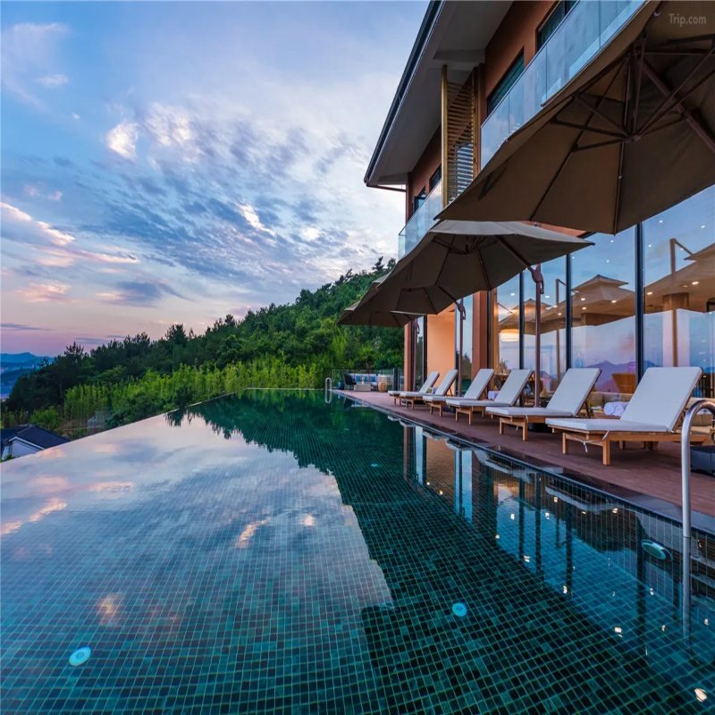 【银杏赏秋】长兴密静君澜度假酒店1晚+双早+欢迎水果+萌宠喂养+十里古银杏长廊 - 定制游预订