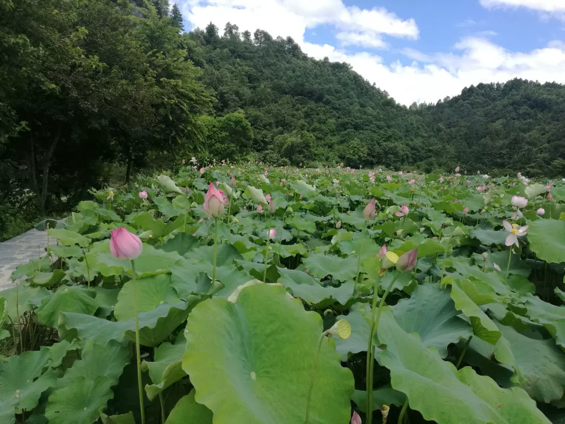 仙人岩图片