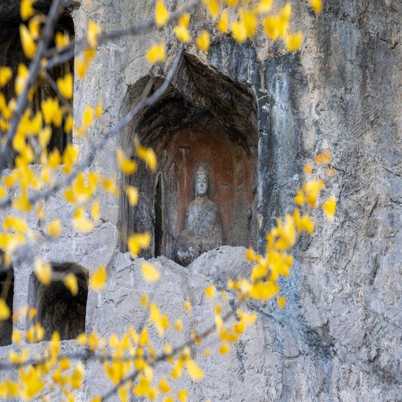 元旦春节假期可定 河南洛阳自由行1-5日 洛阳万怡酒店 4天3晚 可选酒店