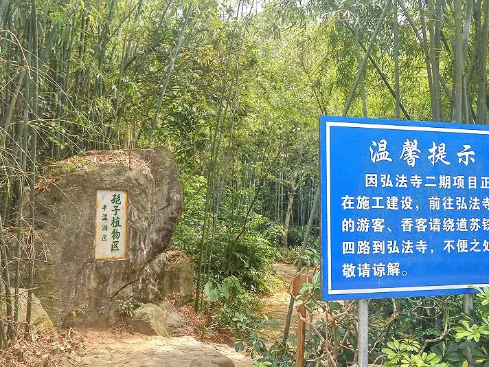 孢子植物区图片