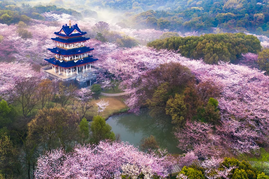 太湖鼋头渚风景区图片