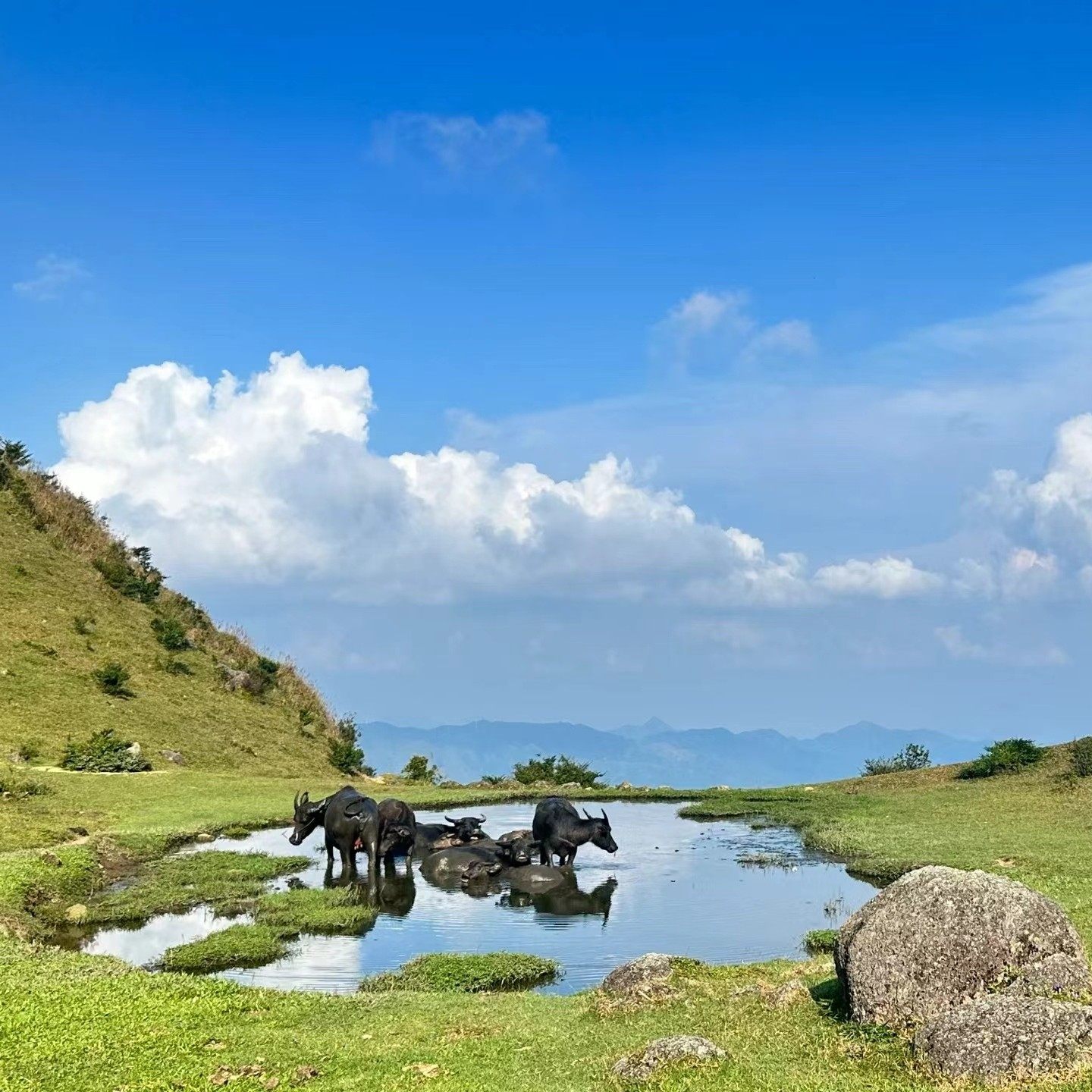甄选【阳春鸡笼顶2天】泡氡温泉 | 春湾石林+龙宫岩+徒步南方草原 - 定制游预订