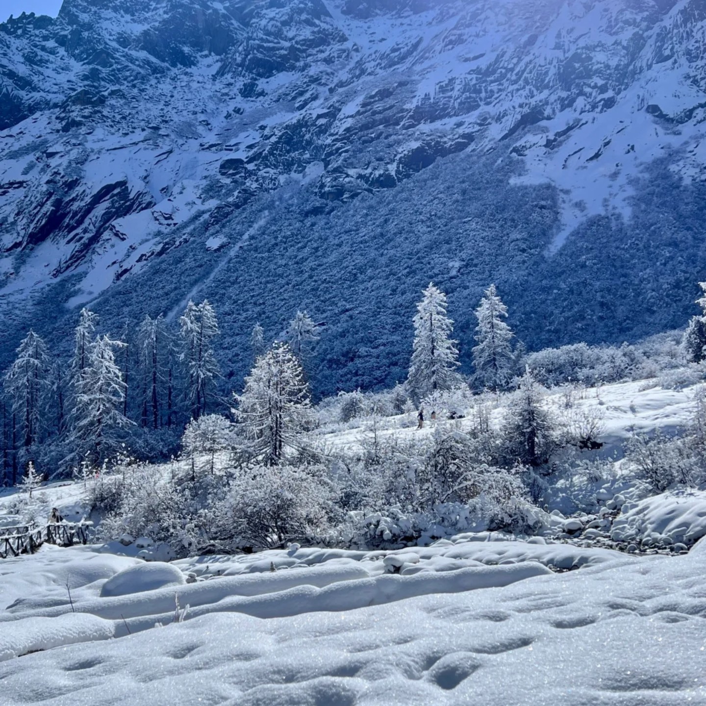 毕棚沟+甘堡藏寨一日游【2-6人专车私家小团&含首道门票&亲子游】 - 定制游预订