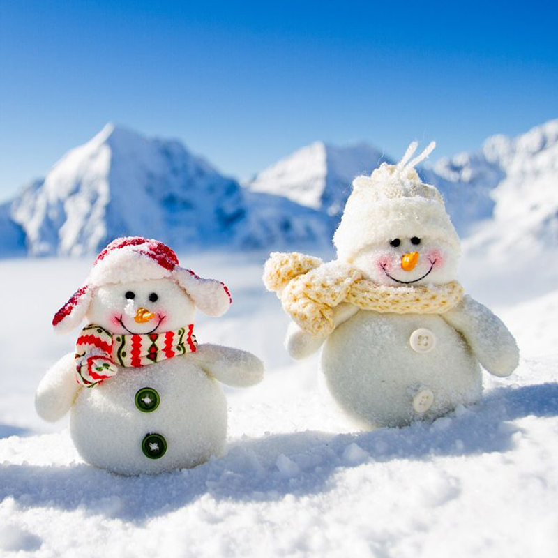 错峰一单一团云南旅游丽江大理香格里拉版纳5天4晚纯玩包车私家团