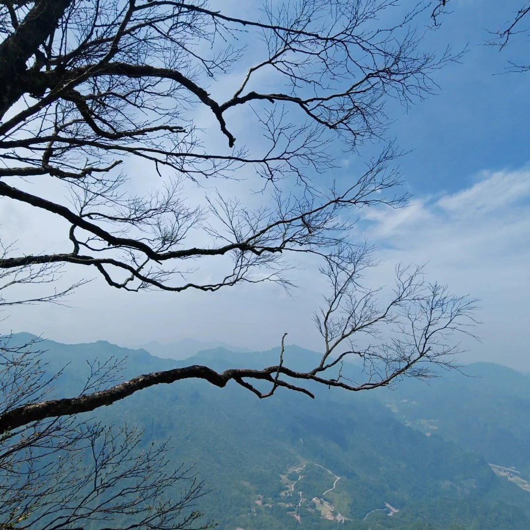 光雾山名人度假酒店住宿+汉中龙头山国际旅游度假区成人门票