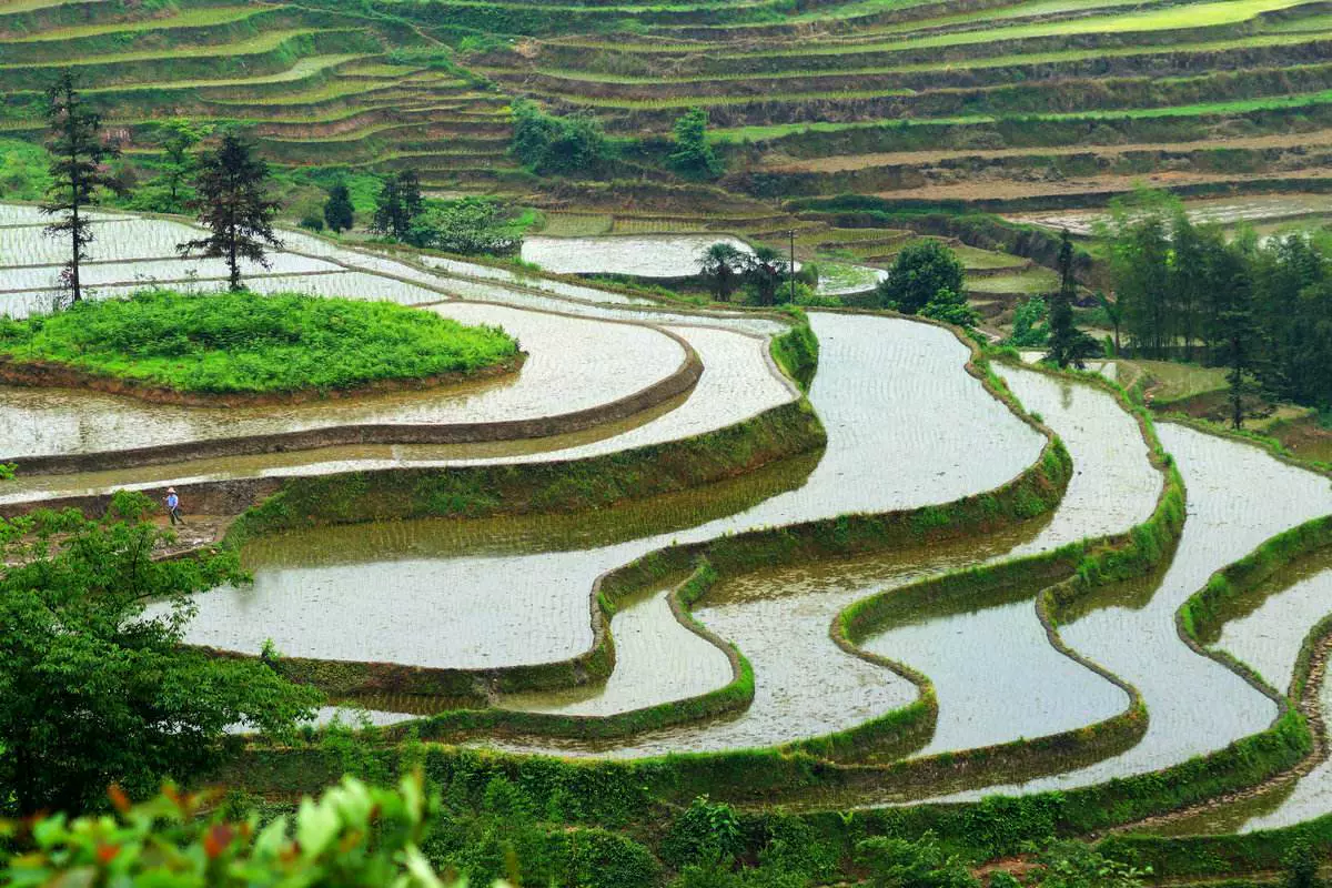 高坎梯田旅游景区图片