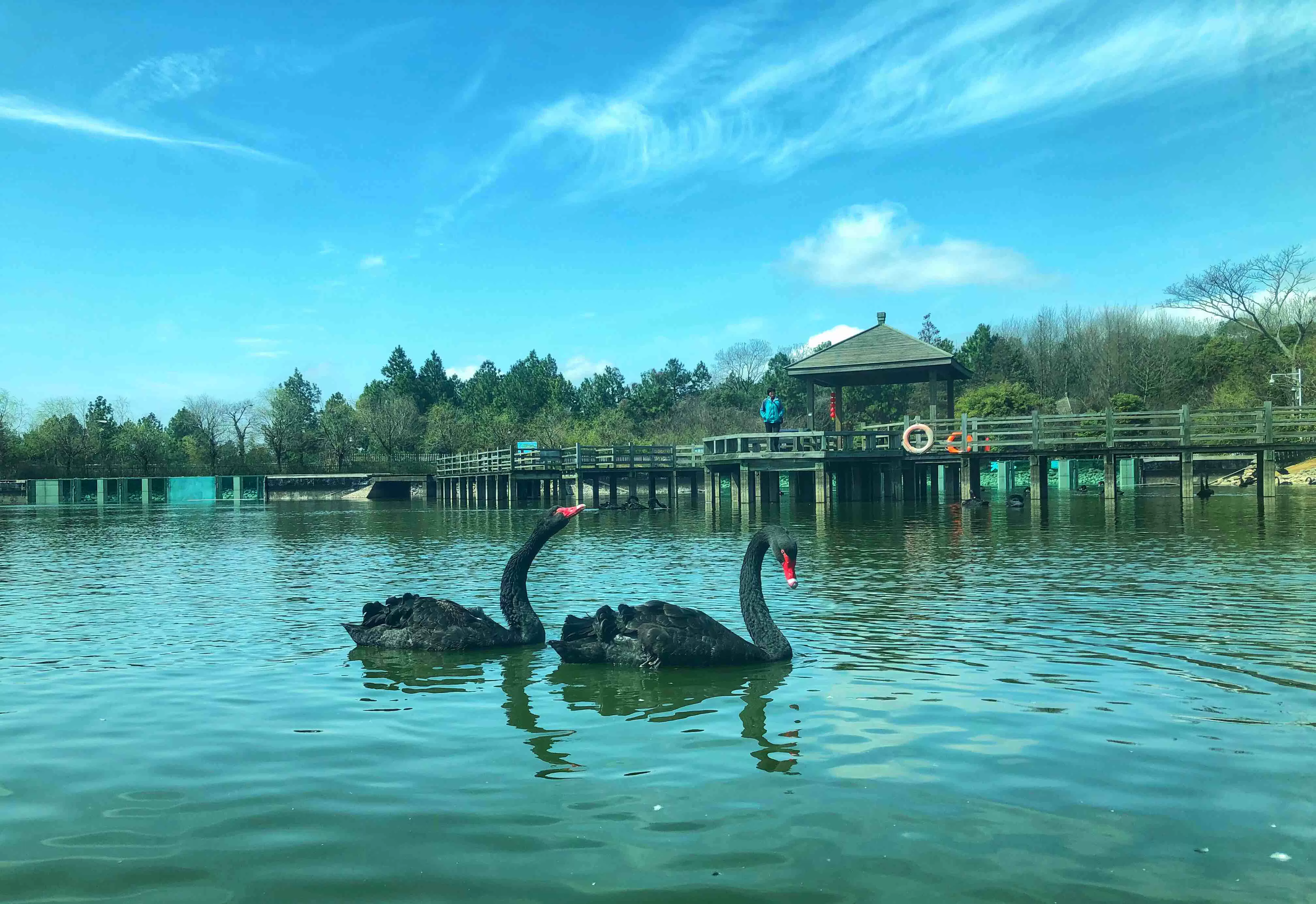 鄱阳湖国家湿地公园