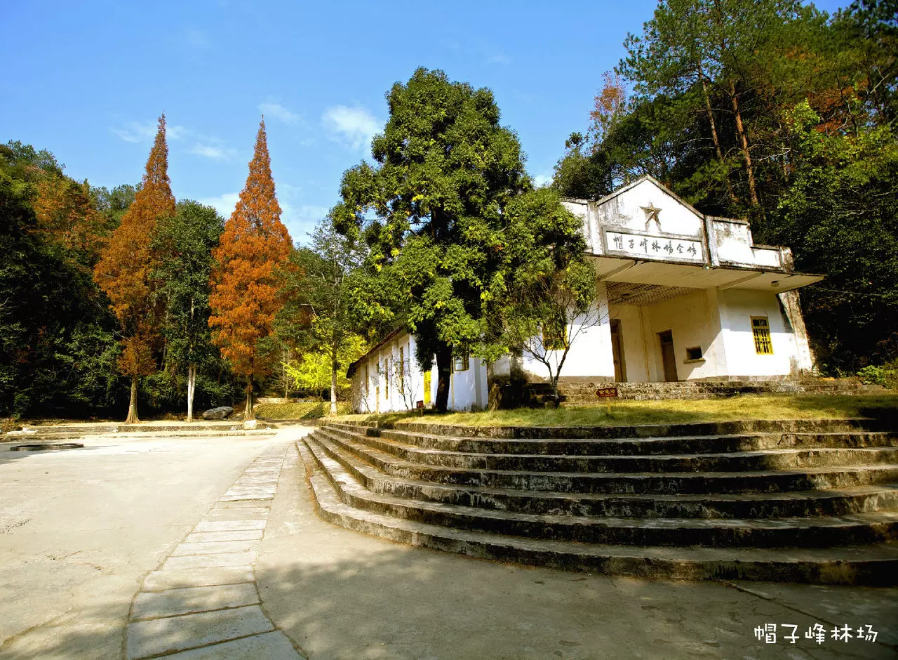 帽子峰林场图片