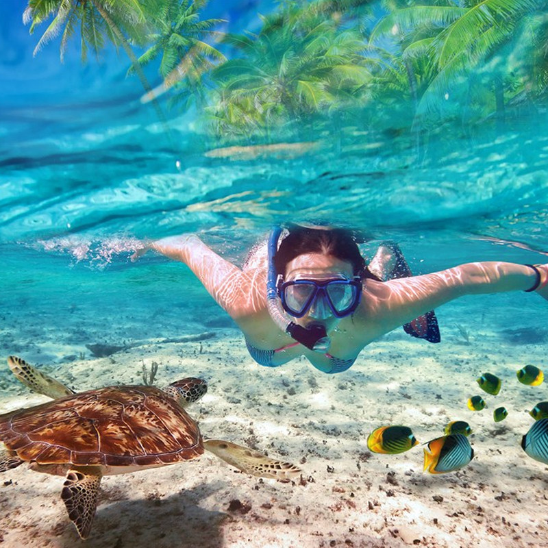 万宁大洲岛海钓游艇快艇出海浮潜深潜潜水水下拍照