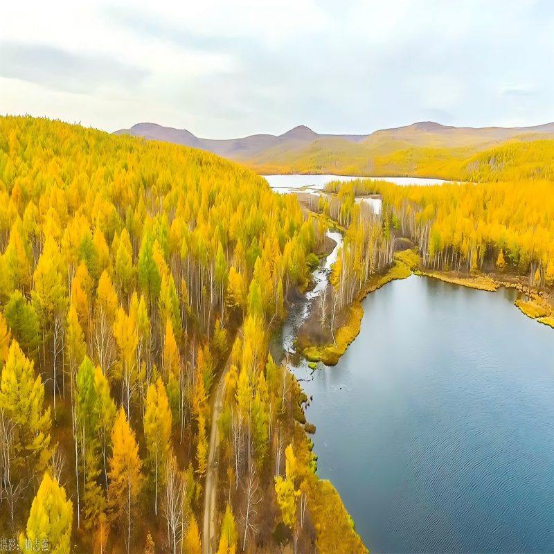 阿尔山森林公园+白狼峰+乌拉盖草原九曲湾+代钦塔拉五角枫5日游 - 定制游预订