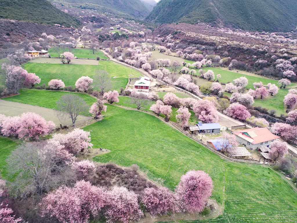 雅鲁藏布大峡谷图片