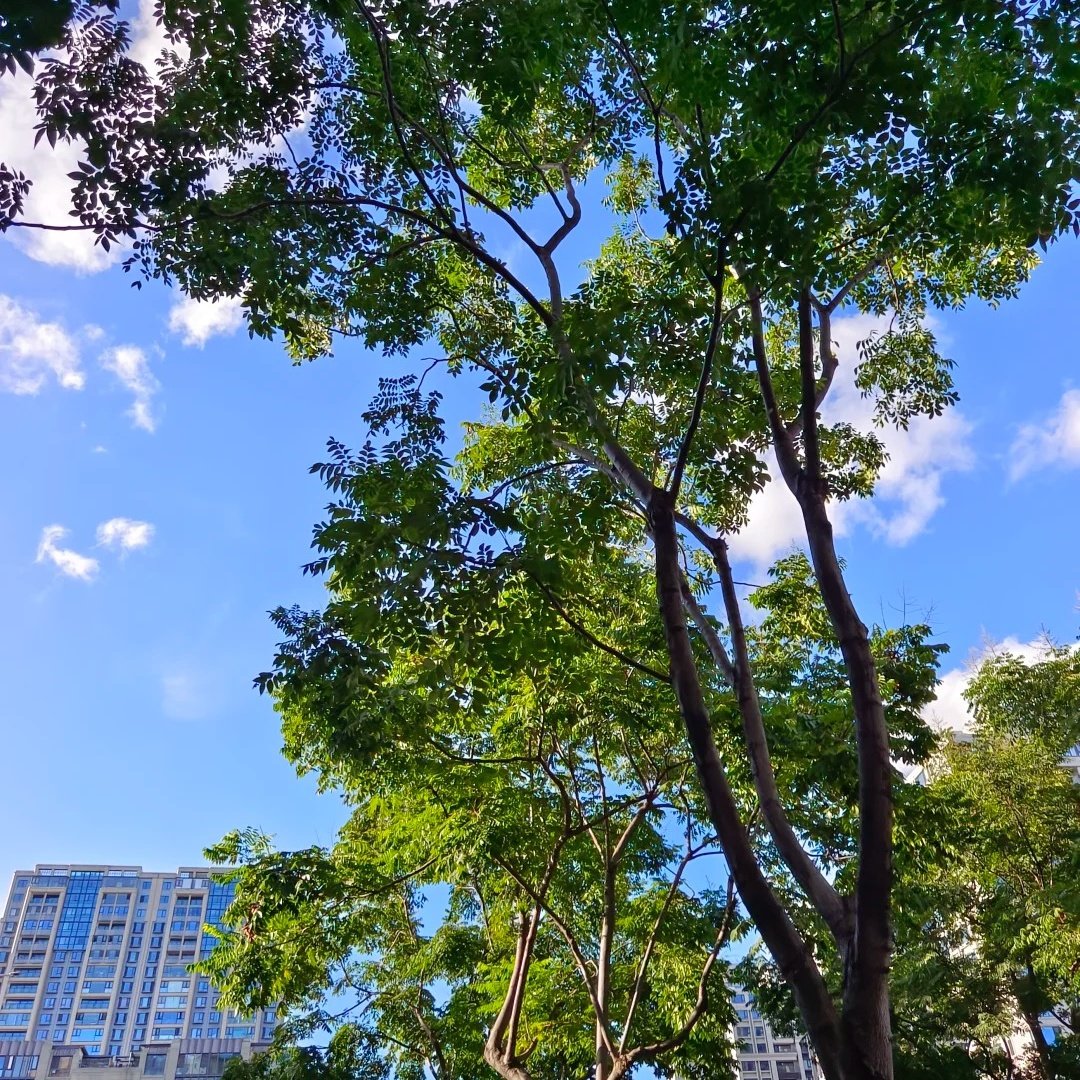 乔治莫兰迪酒店(琅琊古城店)住宿+琅琊古城成人门票