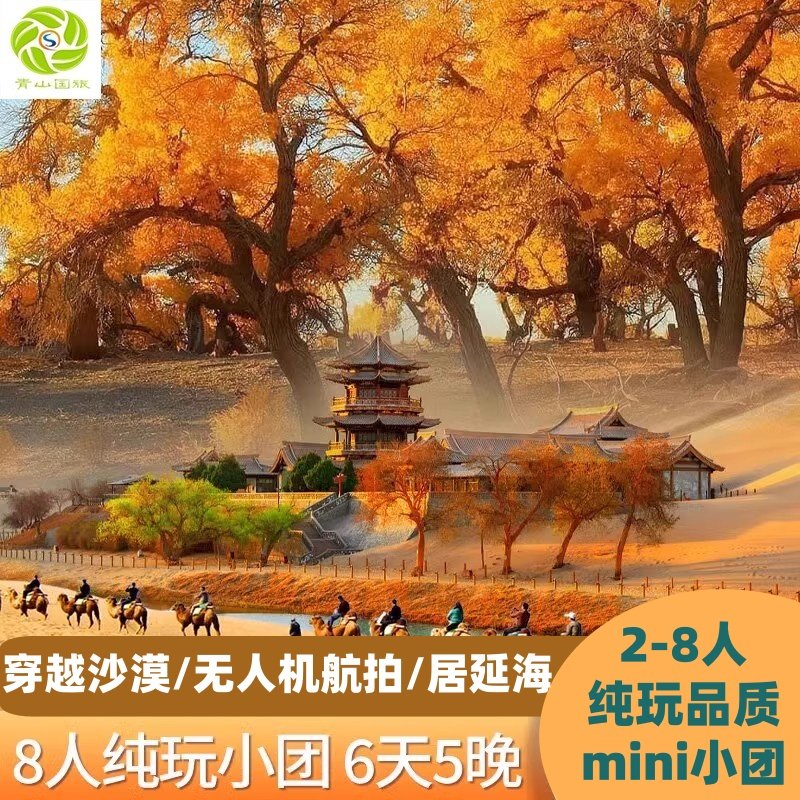 纯玩小团+额济纳旗胡杨林居延海大地之子莫高窟青海湖6日跟团旅游 - 定制游预订