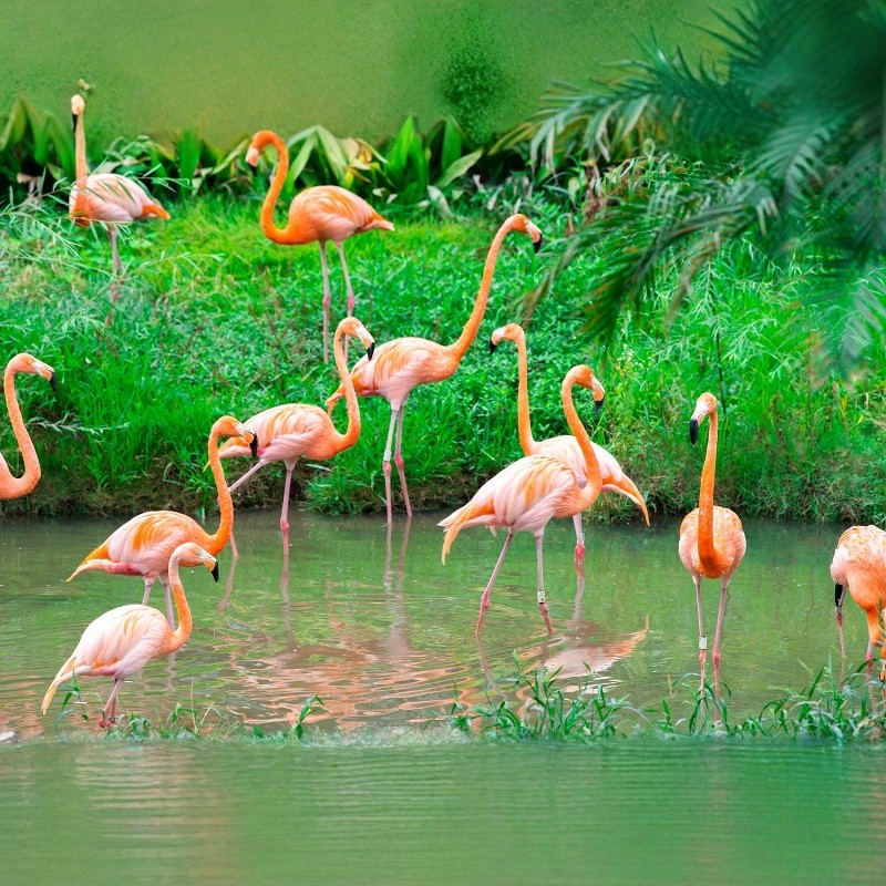 【 寒假早鸟】无锡太湖皇冠假日酒店+无锡动物园(太湖欢乐园)2天1夜自由行