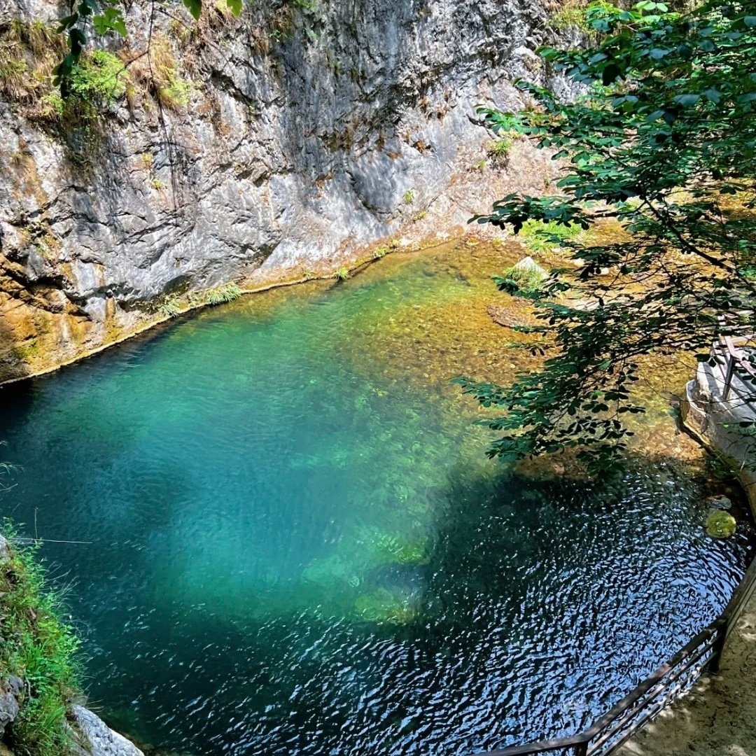 商南运通逸云酒店住宿+金丝峡景区成人门票 - 定制游预订