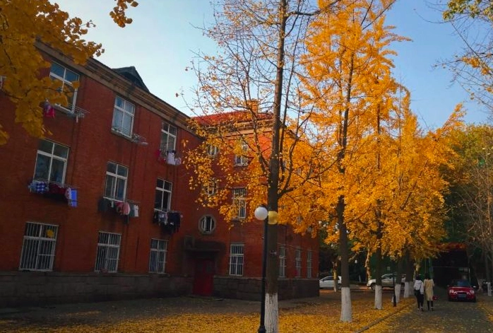 青岛理工大学(市北校区)图片