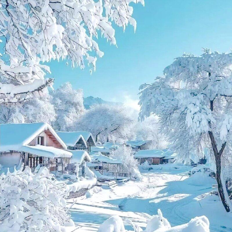 雪乡+亚布力+镜泊湖+长白山6天5晚 大秃顶子+冰雪画廊+梦幻家园等 - 定制游预订