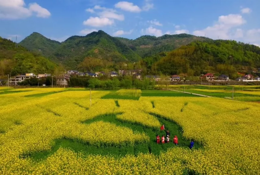 乡野田园图片