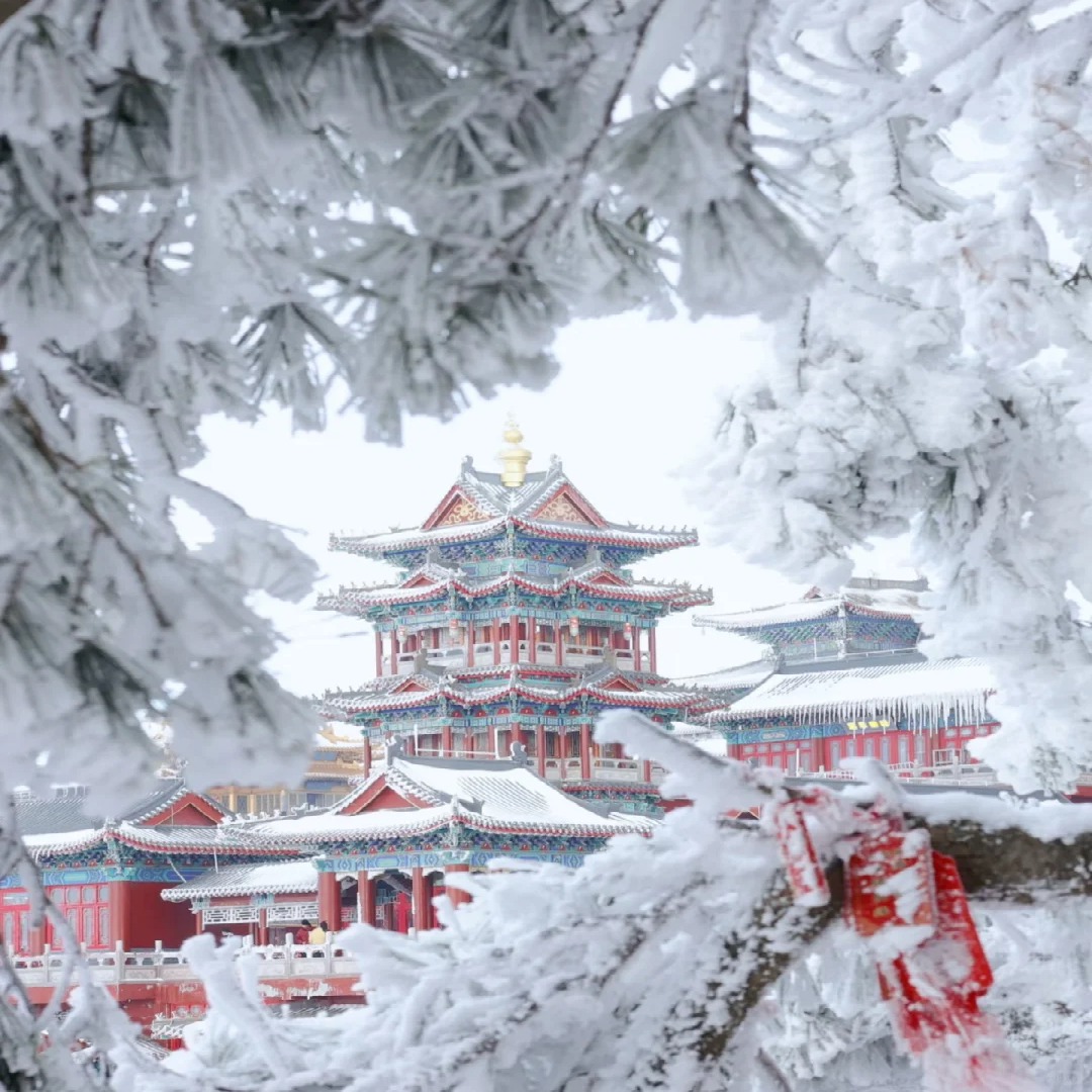 元旦河南 老君山 龙门石窟 洛阳 白马寺 洛邑古城3日 纯玩跟团游