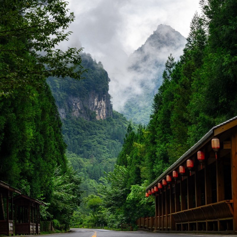 南江首座大酒店1晚+光雾山旅游景区门票+燕子岭索道票