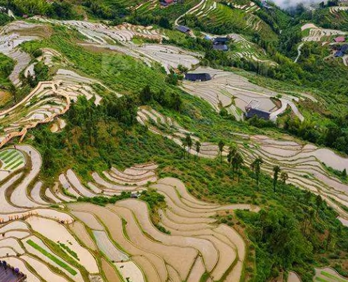 溆浦山背花瑶梯田景区图片