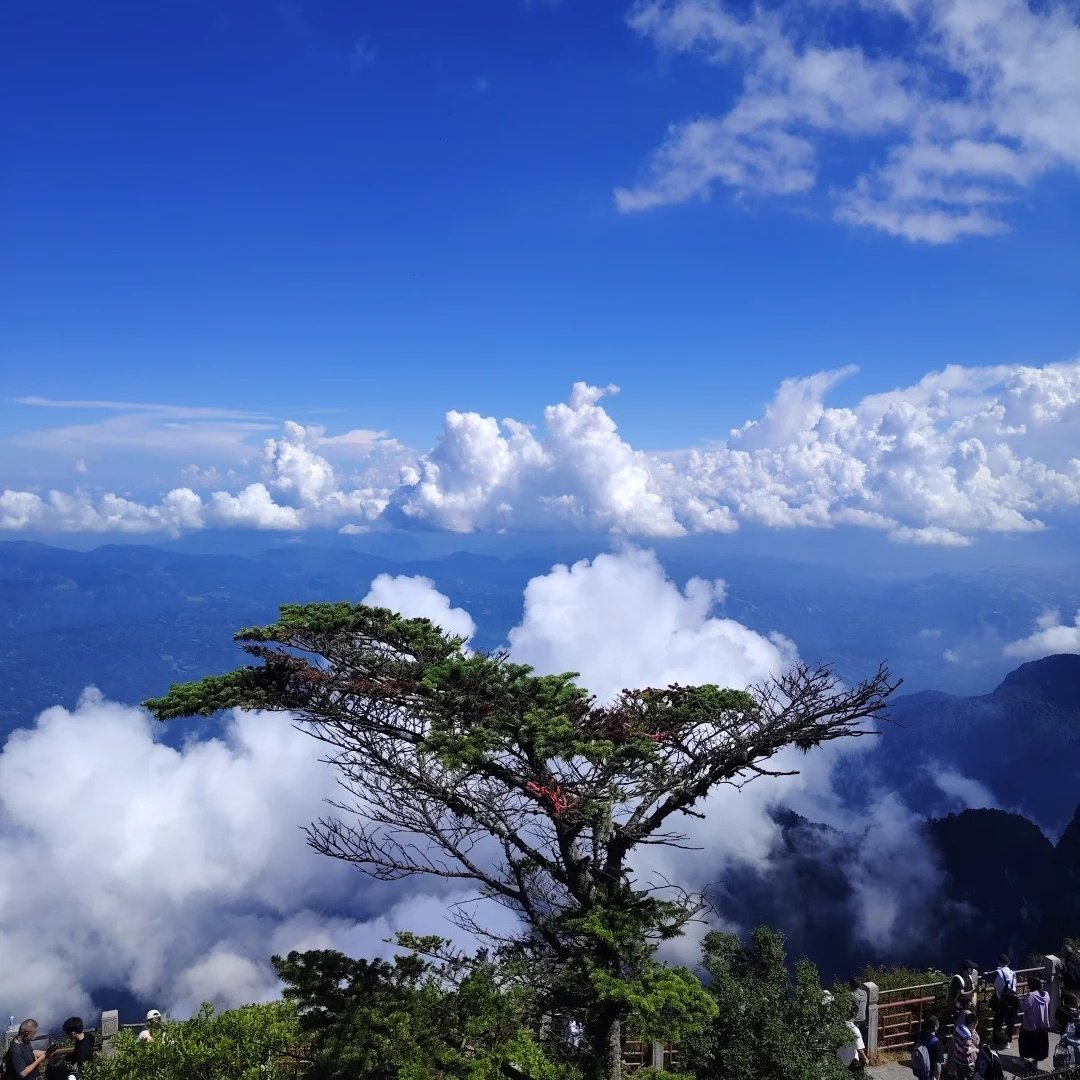 峨眉山金顶大酒店(悦霞楼)住宿+峨眉山成人门票