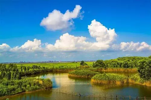 西沙湿地图片