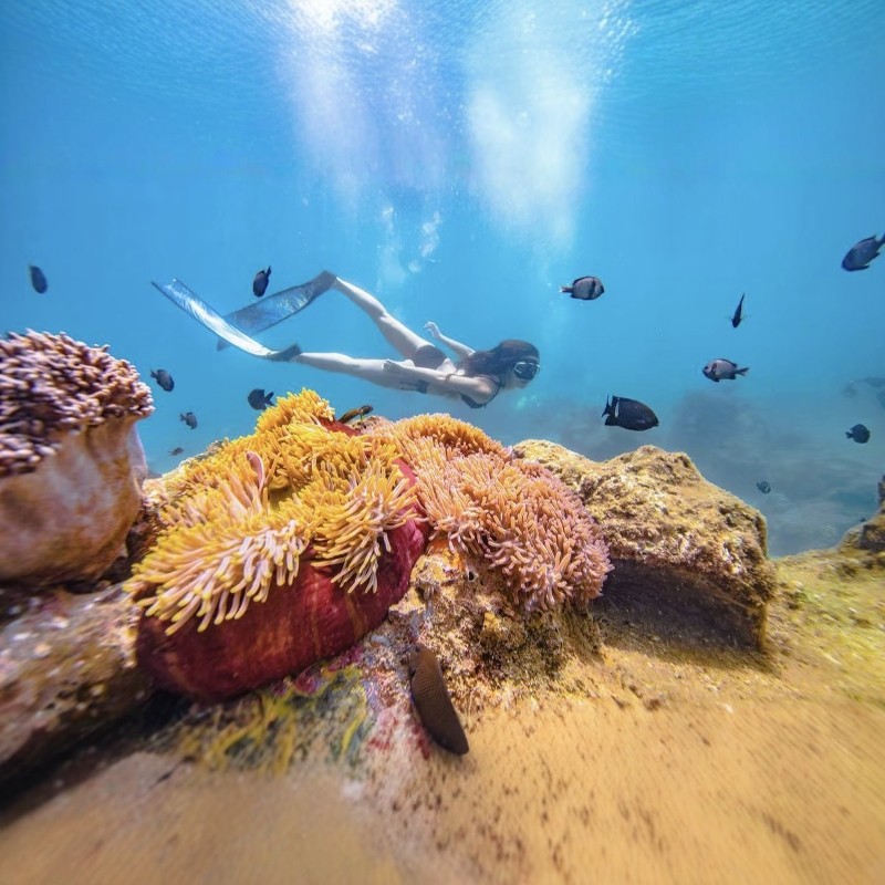 【乐享】三亚湾高端品牌酒店2天1晚+亚龙湾热带森林公园