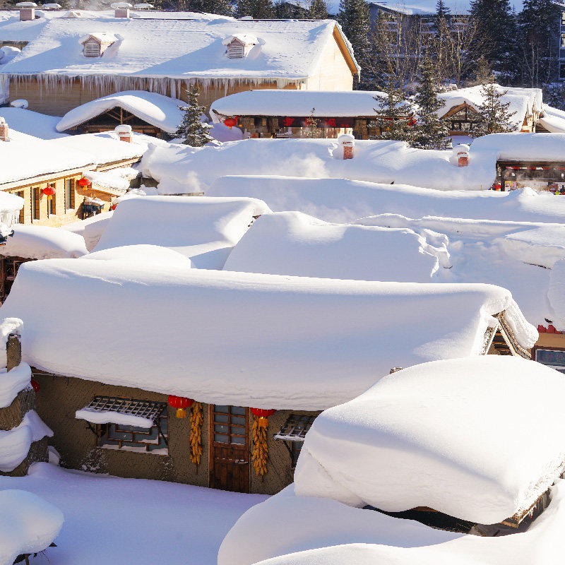 冰城哈尔滨、中国童话雪乡探秘狗熊岭雪山寒地温泉全景品质6日游 - 定制游预订