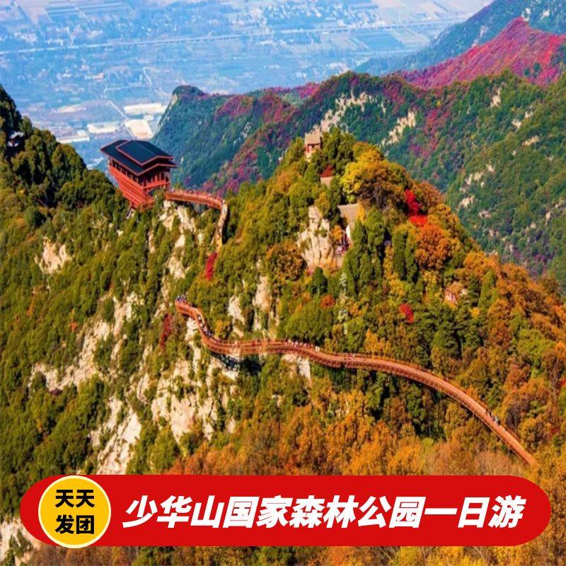 【1人请勿下单,最少2成人起订】少华山国家森林公园纯玩1日游 - 定制游预订